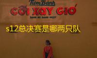 s12总决赛是哪两只队伍